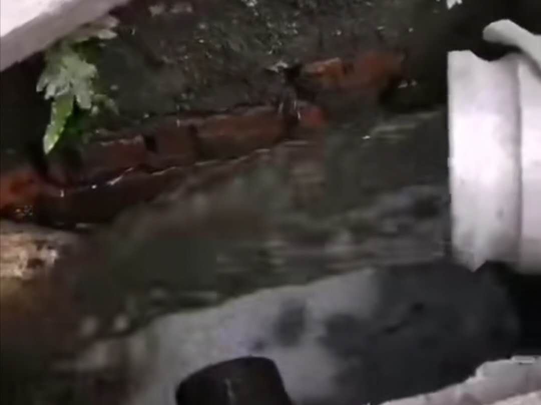 污水净化车处理效果视频